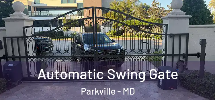  Automatic Swing Gate Parkville - MD