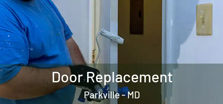  Door Replacement Parkville - MD