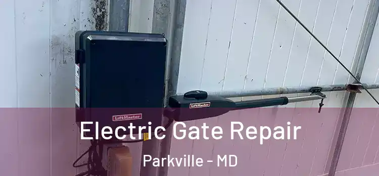  Electric Gate Repair Parkville - MD