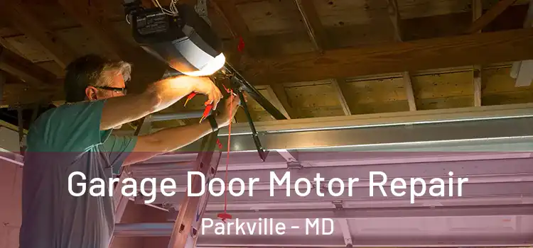  Garage Door Motor Repair Parkville - MD