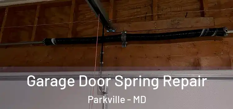  Garage Door Spring Repair Parkville - MD