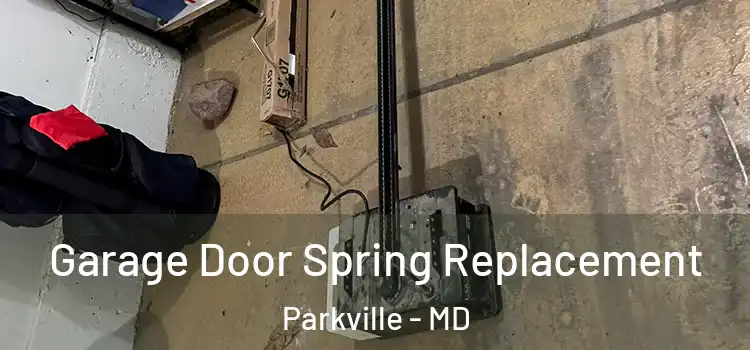  Garage Door Spring Replacement Parkville - MD