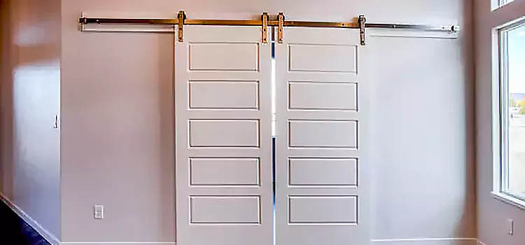 Glass Barn Door with Installation Hardware Kit Parkville
