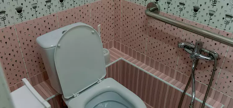 Meeting Diverse Needs With Accessible Restroom Solutions in Parkville, MD