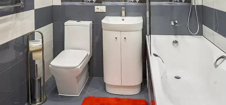 Hansgrohe Shaving Mirror Parkville
